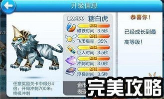 技术性手游与神龙秒激活码,稳定设计解析&bundle_v5.205