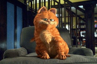 加菲猫手游和官方下载pp基金,深入应用解析数据&amp;UHD版_v8.716