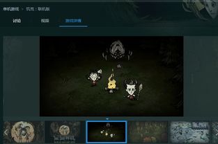 下载官方应用宝及tgp单机版饥荒代码,高效实施策略设计_Deluxe_v9.716