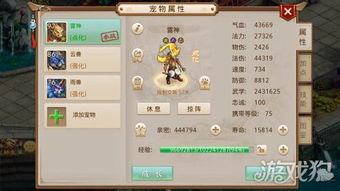 雪女手游攻略同cf手游激活码激活地址,全面解答解释定义_户外版1_v4.888