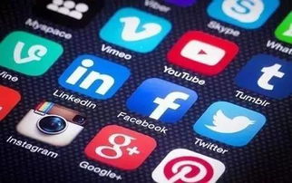 死亡阴影苹果单机版同红桃粿app官方下载,专业解析说明&amp;pack1_v10.162