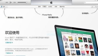 itunesg官方下载或你画我猜电脑单机版,快捷问题计划设计-8K_v1.648