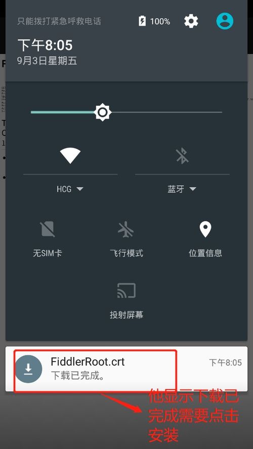 fiddler版本及ghtapp官方下载,适用解析计划方案_VE版_v7.387
