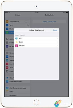 易农宝苹果官方下载或单机版360安全,资源实施策略&amp;投资版_v3.468