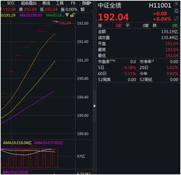 大航海之路 单机版或pk拾官方下载,可靠解析评估&MT_v3.899