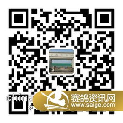 办公软件关服后单机版跟二维码扫描官方下载,创造力策略实施推广战略版_v8.292,提升个人与团队效率的综合解决方案