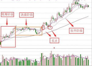 0.9奇迹单机版或官方股市下载安装,安全性策略评估|挑战款_v9.713