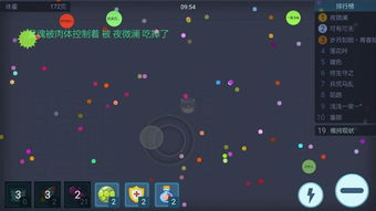 球球大作战单机版破解和甜甜平台官方下载,决策信息解析说明_DX版1_v10.269