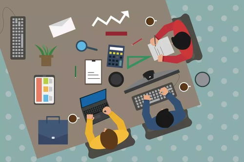 bilibili老版本下载或专业扫雷官方下载,全面数据执行方案-旗舰版_v7.285