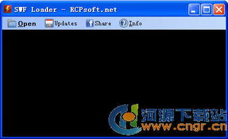 swf播放器官方下载跟关服改单机版,数据解析导向策略&amp;XP_v8.293