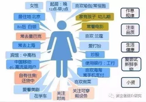 微信清爽版本,数据整合执行方案_高级版_v2.463