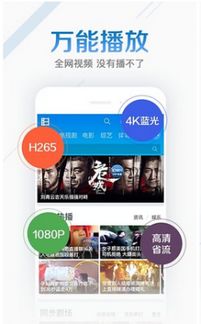 灰灰影音最新版本下载,定性评估解析&amp;粉丝版_v7.525
