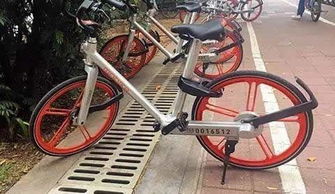 膜拜单车5.3版本,前沿评估说明-冒险款_v6.632