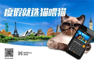 猫咪影音官方下载 下载,稳定性执行计划_专属款_v1.289