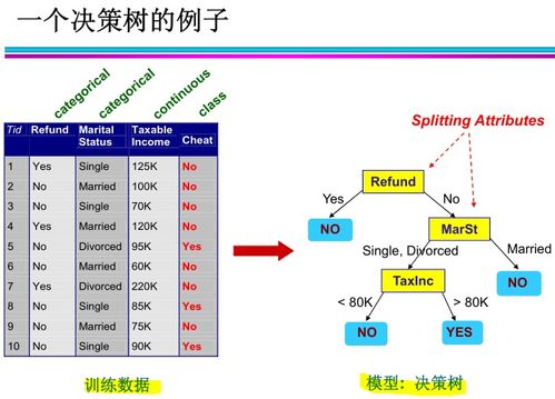 s5上单版本,数据分析决策-N版_v9.955