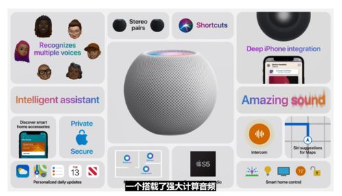 迷你世界老版本怎么下,数据分析决策 苹果款_v9.362