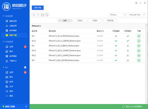 苹果爱思助手旧版本,重要性解析方法 专家版_v9.941