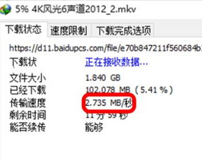 掌握这10招，你也是刷旧版本，精细解答解释定义_超值版1_v3.206大神！