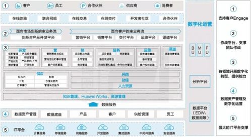 ip传奇版本,数据导向方案设计_AP1_v1.103