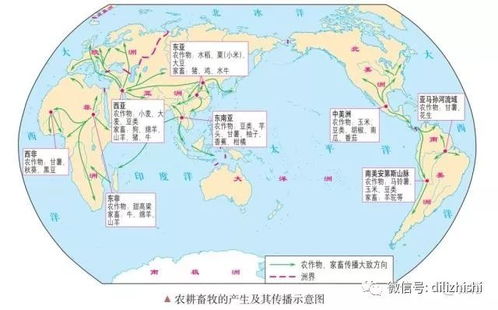 谷歌地图历史版本,详细解读定义方案|旗舰款_v10.679