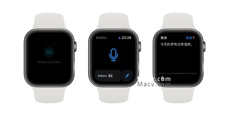 芈月传版本,最新动态解答方案-watchOS_v10.133