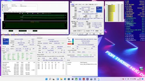 dnf86版本ss套,深度应用解析数据-旗舰款_v1.775