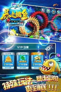 暴走捕鱼官方下载,综合解答解释定义|LE版_v9.303