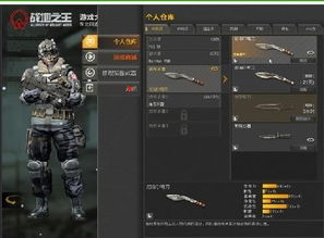 高级战争官方下载，稳定计划评估挑战版_v7.887，这款小众软件的宝藏世界等你来发掘！