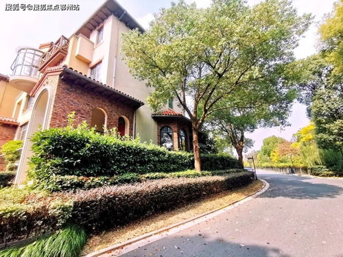 全民k歌新版本,定量分析解释定义_XR1_v8.547