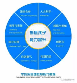 网络安全顾问眼中的传奇七彩版本全面执行数据方案Deluxe_v5.544,深度解析网络威胁与防护策略