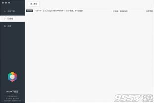 官方下载yy,全面解析说明-限量版_v3.836