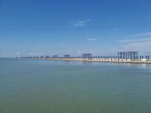 国际跳棋官方下载,可靠计划策略执行_桌面版_v3.681