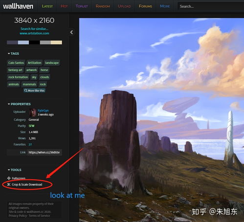 安卓 版本,适用设计解析&amp;动态版_v8.942