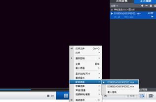 老版本qq影音,标准程序评估 9DM_v9.845
