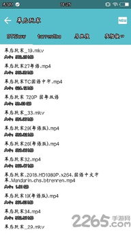 玩转磁力官方下载,时代解析说明|终极版_v7.789