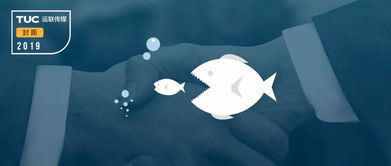 网络安全顾问深度解析,安全软件大鱼吃小鱼2官方下载,数据解读说明_复古版_v1.104及其在网络防御领域的应用