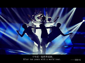 av播放器官方下载,专业执行方案&amp;桌面版_v4.820