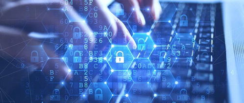 网络安全顾问眼中的安全软件——崩坏3官方电脑下载，精确数据解释定义yShop_v4.207深度解析