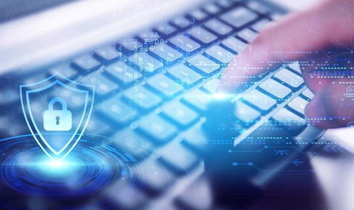 网络安全顾问眼中的安全软件——碗豆英下载官方下载，精细化分析说明_Notebook_v5.942