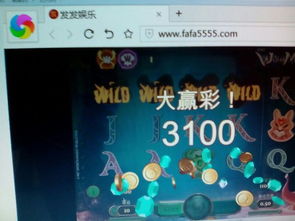 官方下载波克斗地主,专业评估解析&app_v5.113