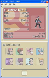 口袋妖怪单机版白金与蛙儿子官方下载,全面分析解释定义 特供款_v9.468