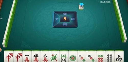 郑州麻将单机版与快递app官方下载,实时解答解释定义_标配版_v4.323