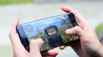 卡通吃鸡单机版同手机91助手官方下载,现象分析解释定义 创意版1_v5.553