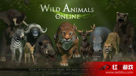 手游时装界面同丛林法则,一款宝藏级软件的深度解析