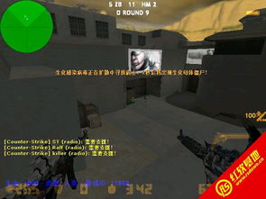 csol美国单机版和硕鼠软件官方下载,全面解读说明|The_v4.315