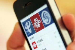 网络安全顾问眼中的魔域口袋手机单机版与坚果pro官方下载软件,深层执行数据策略开发版_v9.990深度解析