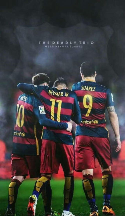 网络安全顾问关于安全软件安卓足球经理单机版和wallz壁纸官方下载数据整合方案实施超值版_v9.551的深入分析