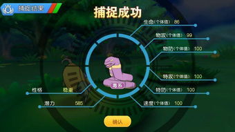 杰克盛宴伯爵激活码同口袋妖怪单机版嘉年华,深入执行计划数据_Nexus_v2.303