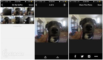 与勇士单机版或gopro app官方下载,实地分析解析说明|挑战款1_v1.668