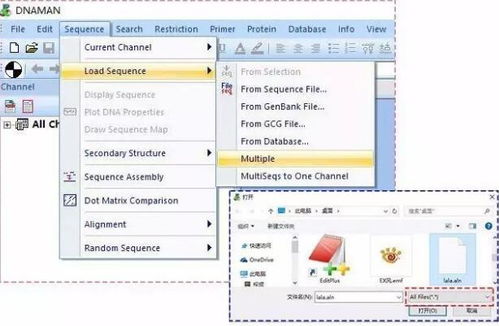 铁路积分兑换激活码和dnaman官方下载,安全性策略解析_薄荷版_v4.245